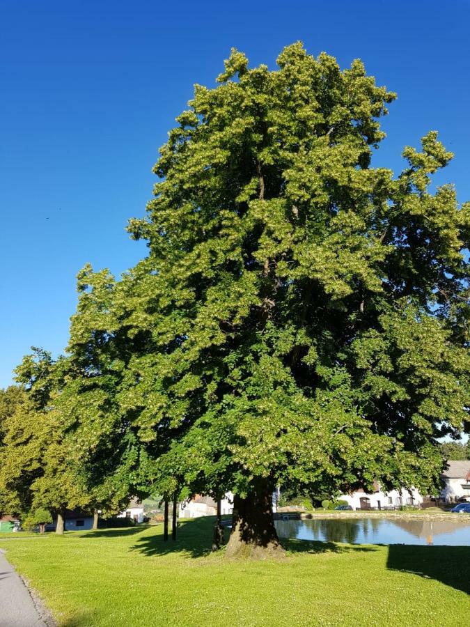 Na Vršku, Klenovice u Prachatice Exteriér fotografie