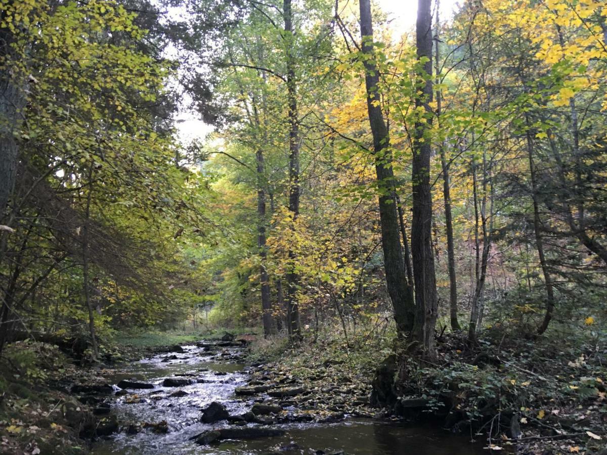 Na Vršku, Klenovice u Prachatice Exteriér fotografie