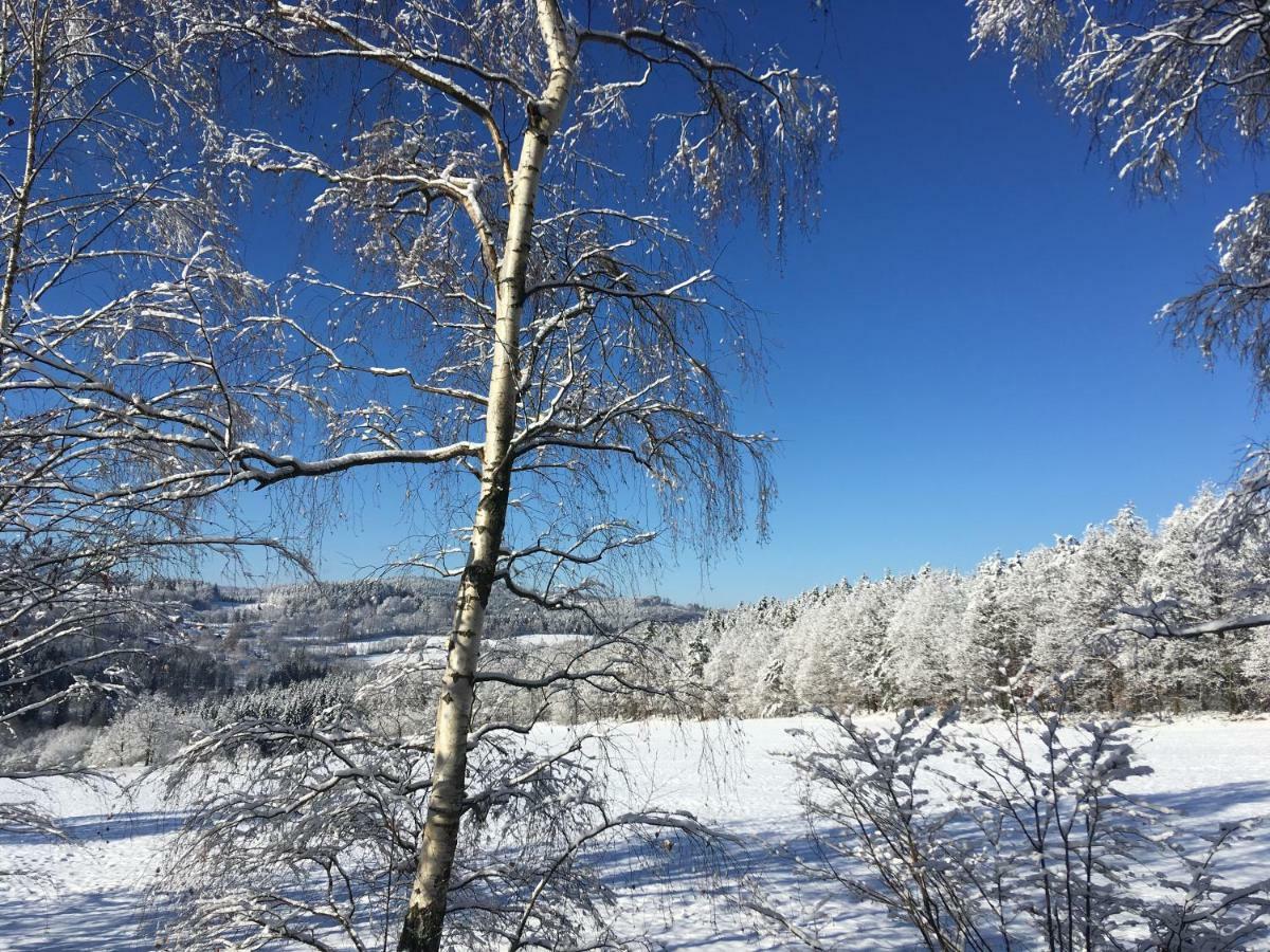 Apartmán Na Vršku, Klenovice u Prachatice Exteriér fotografie