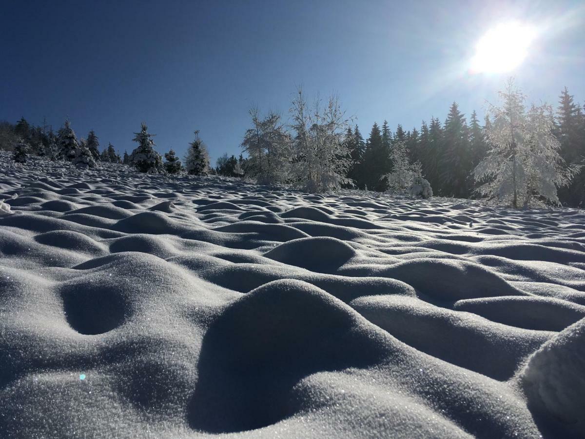 Na Vršku, Klenovice u Prachatice Exteriér fotografie